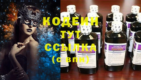 гидра Арсеньев
