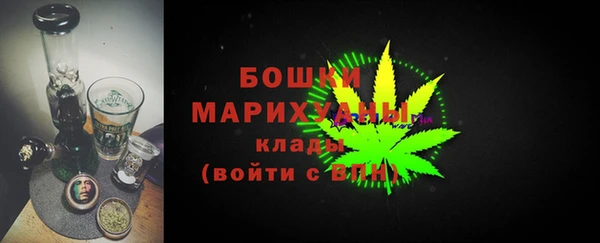 гидра Арсеньев