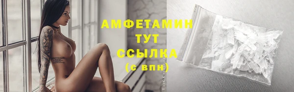 гидра Арсеньев
