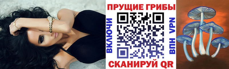 Галлюциногенные грибы Psilocybine cubensis купить закладку Олонец