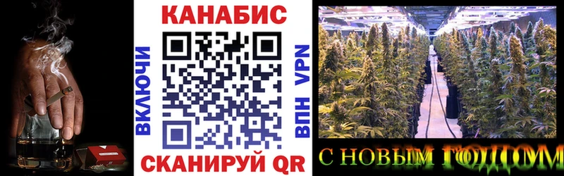 Каннабис индика  Олонец 